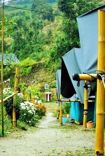 Camp Shivas Den, Nainital 5